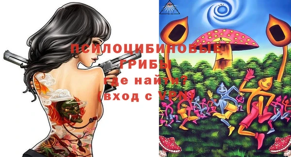 бутират Пролетарск