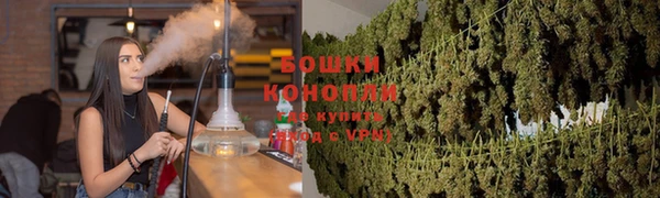 Альфа ПВП Протвино