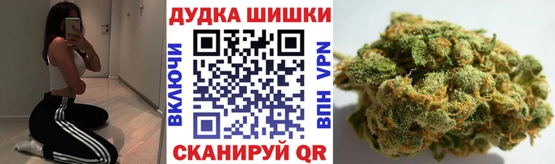 Бошки Шишки индика  Купить  Сельцо 